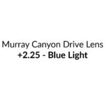 Murray Canyon Drive_2.25